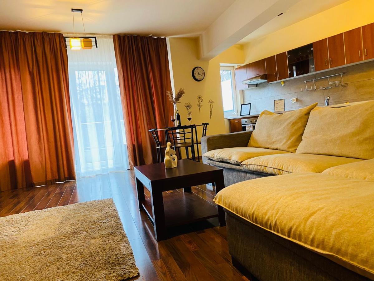 Eclipse Apartment Free Parking 클루지나포카 외부 사진