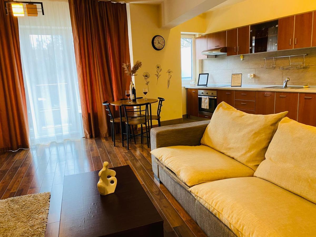 Eclipse Apartment Free Parking 클루지나포카 외부 사진